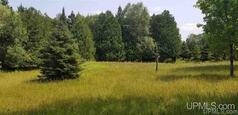 tbd Woodland Parcel 3, Iron Mountain, MI 49801