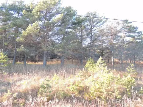 8653 Ll, Rapid River, MI 49878 photo 1