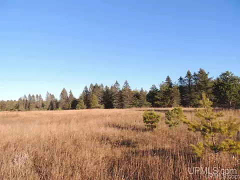8653 Ll, Rapid River, MI 49878 photo 3