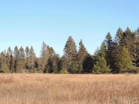 8653 Ll, Rapid River, MI 49878 photo 4