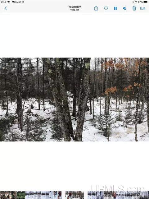 tbd Swamp, Powers, MI 49874 photo 16