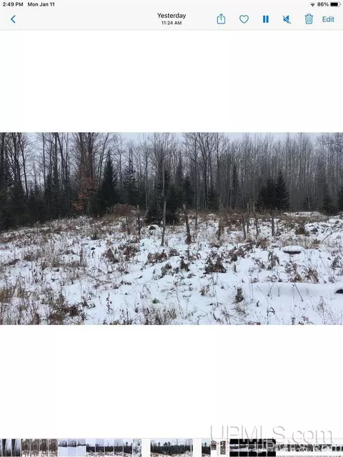 tbd Swamp, Powers, MI 49874 photo 23