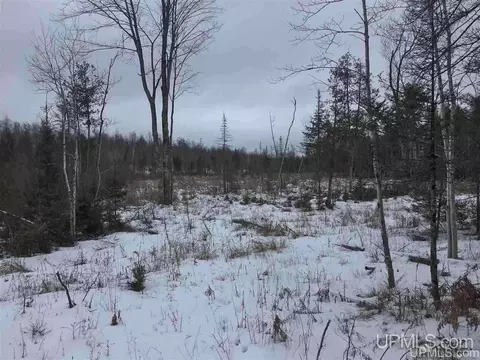tbd Swamp, Powers, MI 49874 photo 28