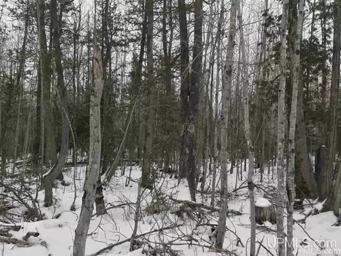tbd Swamp, Powers, MI 49874 photo 26