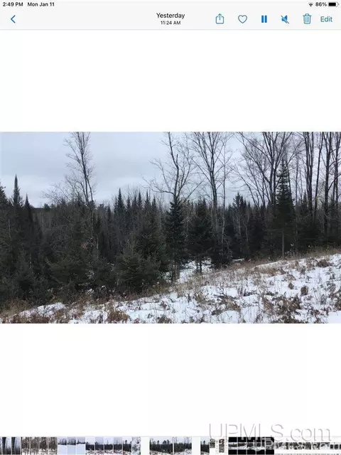 tbd Swamp, Powers, MI 49874 photo 22