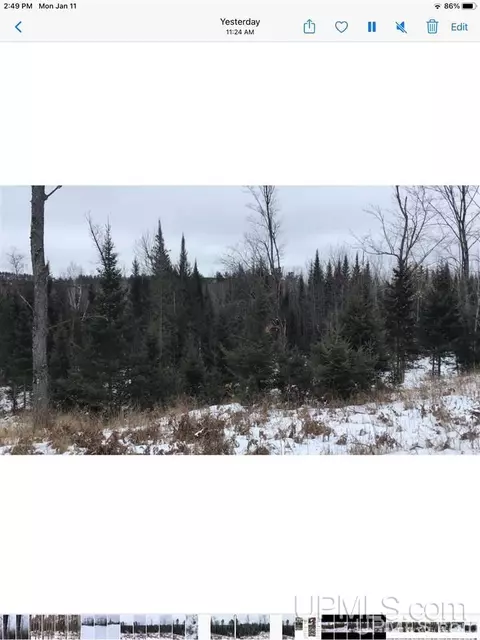 tbd Swamp, Powers, MI 49874 photo 21