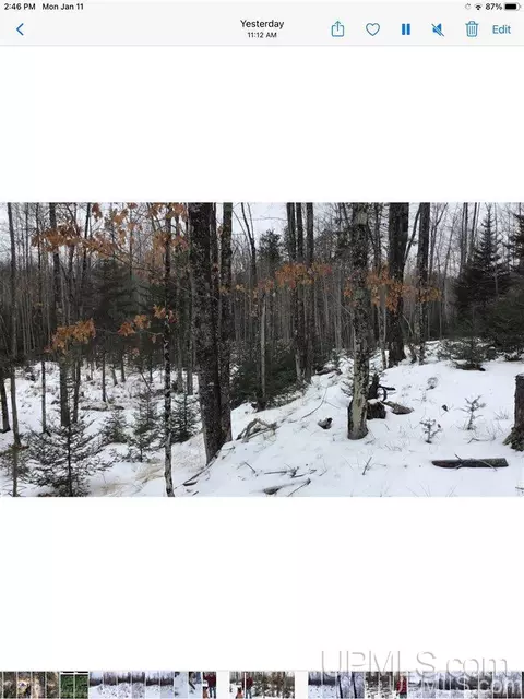 tbd Swamp, Powers, MI 49874 photo 17