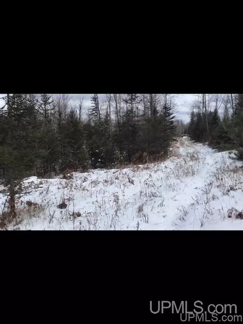 tbd Swamp, Powers, MI 49874 photo 11