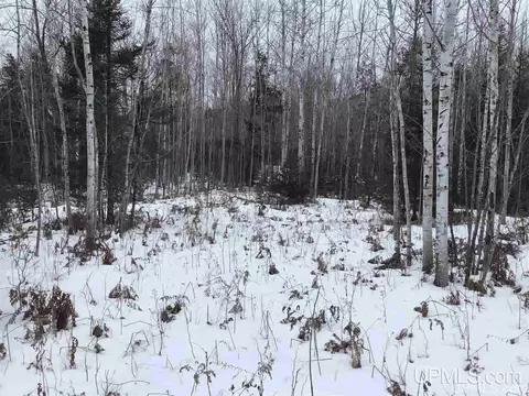 tbd Swamp, Powers, MI 49874 photo 2