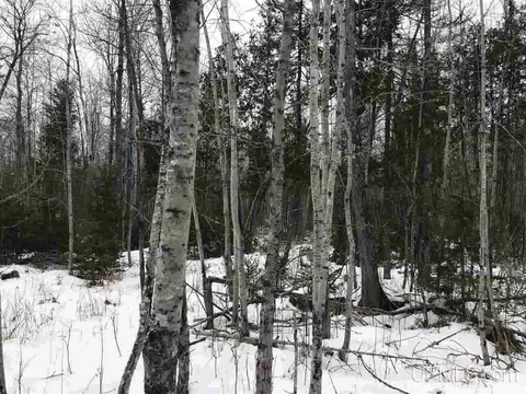 tbd Swamp, Powers, MI 49874 photo 8
