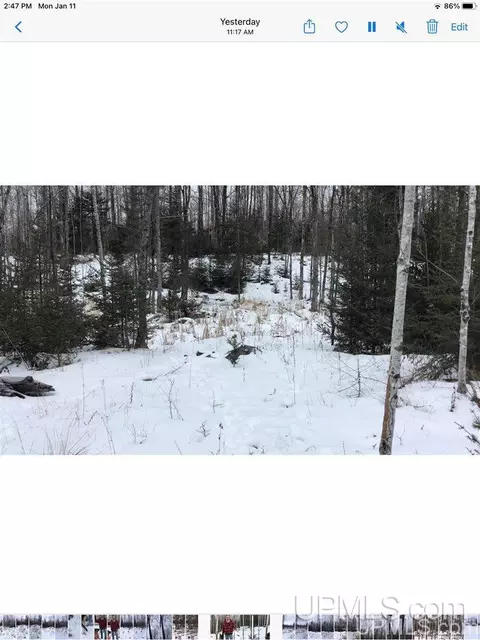 tbd Swamp, Powers, MI 49874 photo 20