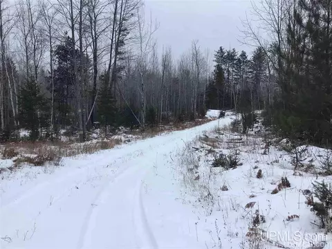 tbd Swamp, Powers, MI 49874 photo 1