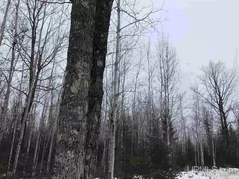 tbd Swamp, Powers, MI 49874 photo 7