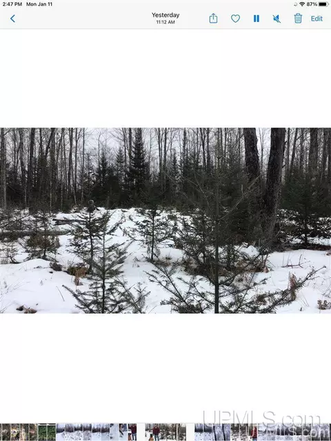 tbd Swamp, Powers, MI 49874 photo 15