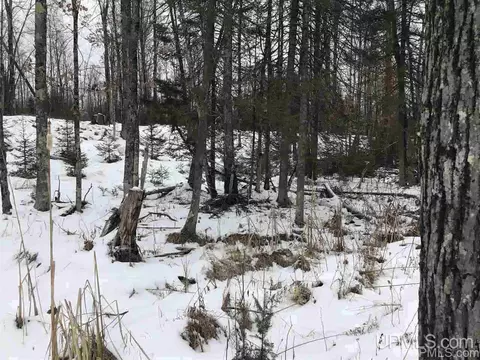 tbd Swamp, Powers, MI 49874 photo 5