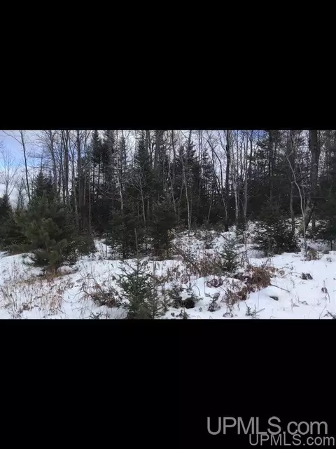 tbd Swamp, Powers, MI 49874 photo 12