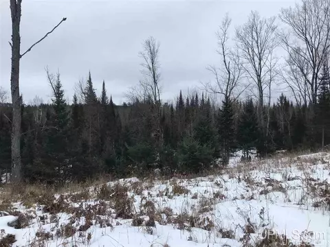 tbd Swamp, Powers, MI 49874 photo 9