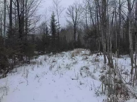 tbd Swamp, Powers, MI 49874 photo 29