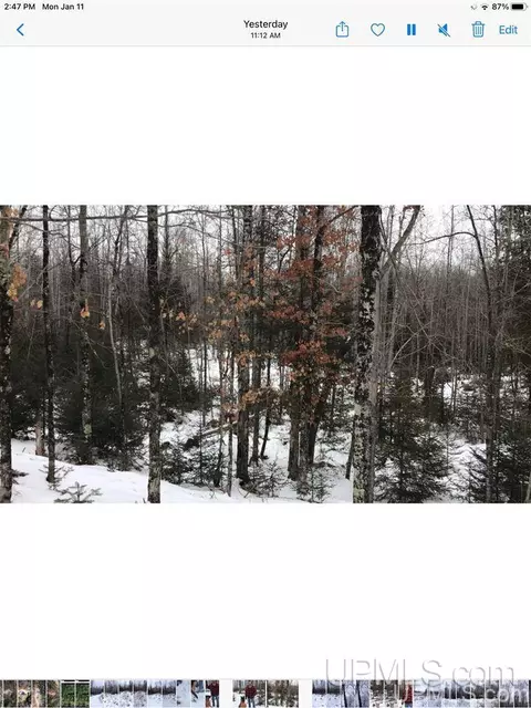 tbd Swamp, Powers, MI 49874 photo 14