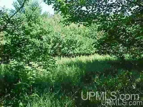 tbd Off Ctr, Munising, MI 49862 photo 1