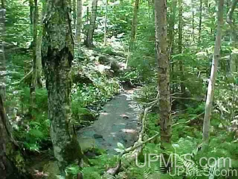 tbd Off Ctr, Munising, MI 49862 photo 2