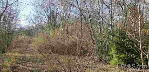 Tbd1 Gorman Lots 2, Ontonagon, MI 49953
