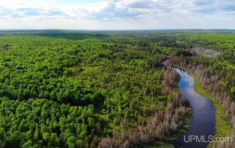 Tbd Off May Lake, Covington, MI 49919