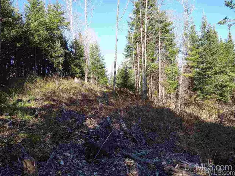 tbd Silver Fls, L'anse, MI 49946 photo 16