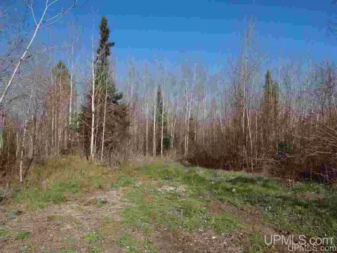 tbd Silver Fls, L'anse, MI 49946 photo 9