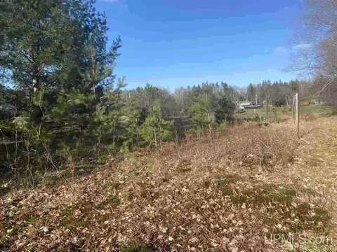 tbd Connors, Munising, MI 49862 photo 2