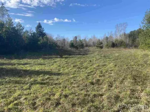 tbd Connors, Munising, MI 49862 photo 1