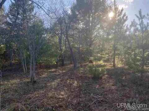 tbd Connors, Munising, MI 49862 photo 5