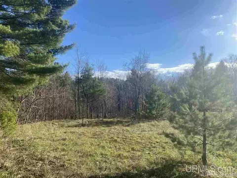 tbd Connors, Munising, MI 49862 photo 4