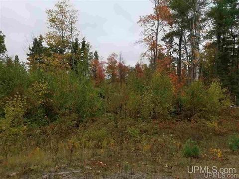 Unit #30 N Greenwood Lake #30, Ishpeming, MI 49849