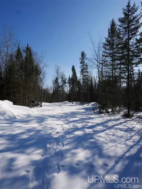 2094 Tanskanen, Allouez, MI 49805 photo 31