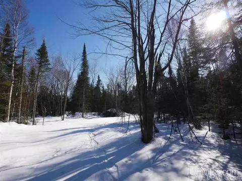 2094 Tanskanen, Allouez, MI 49805 photo 29