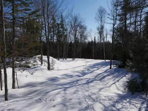 2094 Tanskanen, Allouez, MI 49805 photo 12