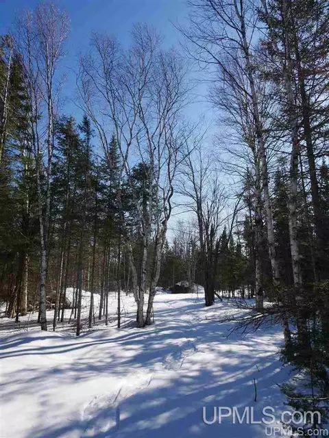 2094 Tanskanen, Allouez, MI 49805 photo 27