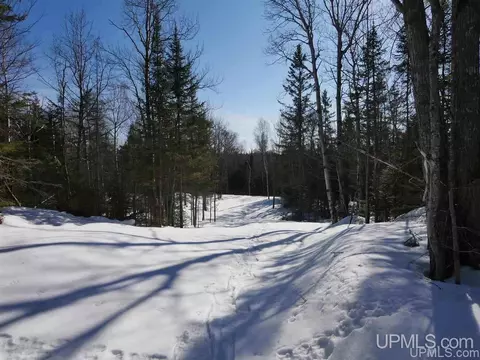 2094 Tanskanen, Allouez, MI 49805 photo 11