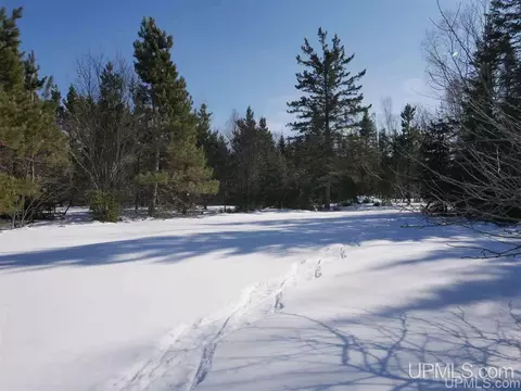 2094 Tanskanen, Allouez, MI 49805 photo 9