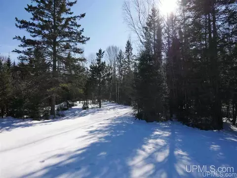 2094 Tanskanen, Allouez, MI 49805 photo 26