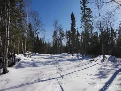 2094 Tanskanen, Allouez, MI 49805 photo 33