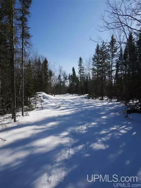 2094 Tanskanen, Allouez, MI 49805 photo 30