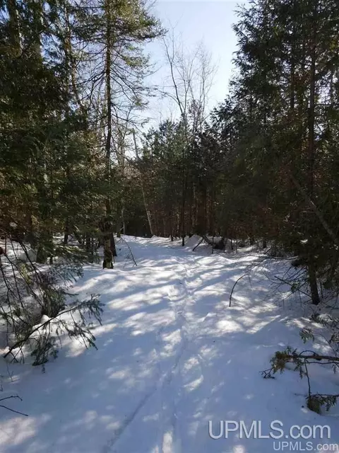 2094 Tanskanen, Allouez, MI 49805 photo 34