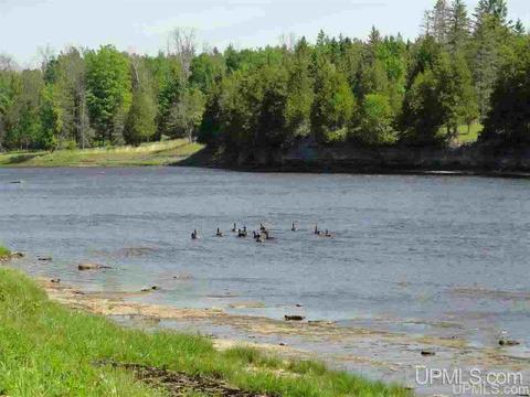 Lots 3 And 4 Meadow 24th, Cornell, MI 49818