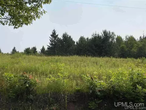 002 Indianhead, Wakefield, MI 49968 photo 8