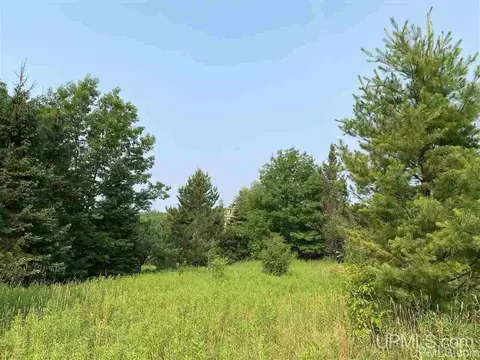 002 Indianhead, Wakefield, MI 49968 photo 6