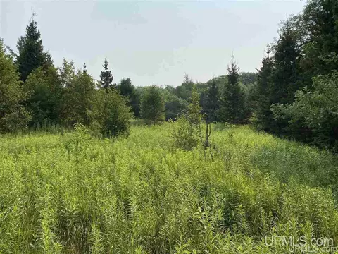 002 Indianhead, Wakefield, MI 49968 photo 2