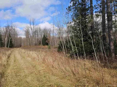 tbd Cataldo #LOT S 10 & 11, Iron River, MI 49935