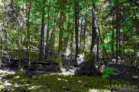 1125 Cooper Lk, Ishpeming, MI 49849 photo 4